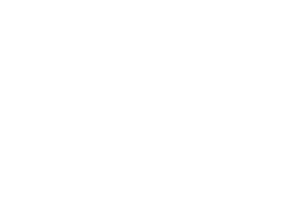safari logo
